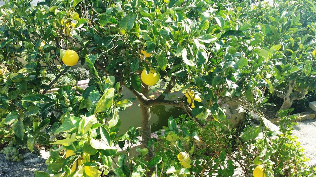 Апартаменти Sole E Fiori Di Sicilia Вальдеріче Екстер'єр фото